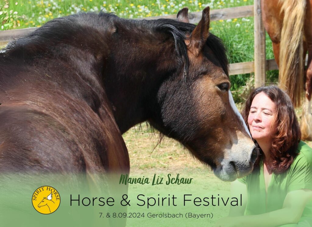 Horse Spirit Festival Manaia Liz Schaur