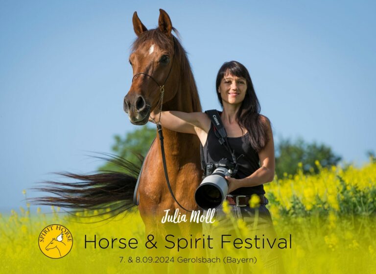 Horse Spirit Festival Julia Moll